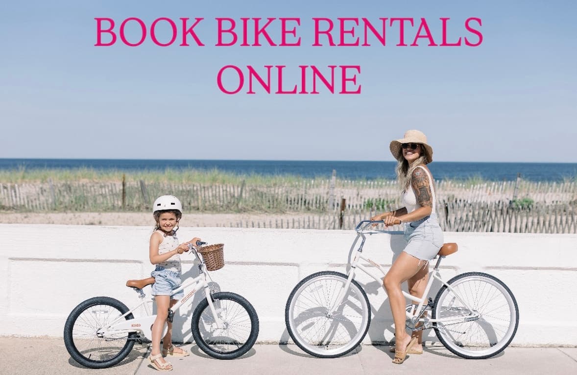 Explore Beach Haven on the Beach Cruiser Bike #6