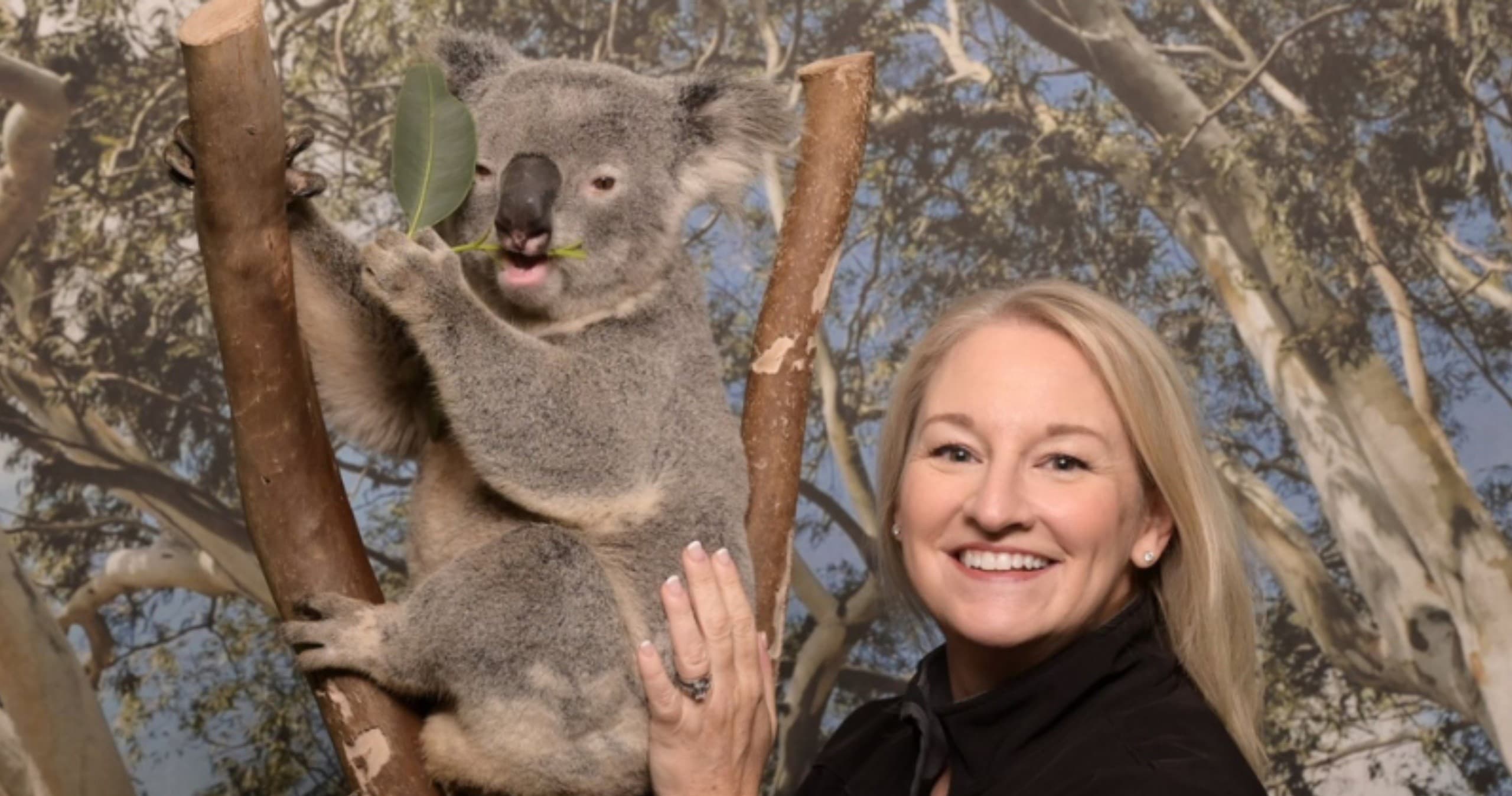 Land adventures: Blue Mountains Private Tour from Sydney
