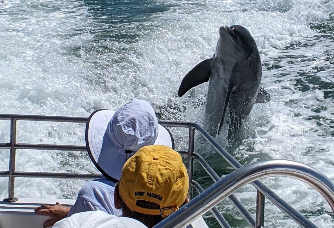 Gasparilla Sound Afternoon Cruise with Boca Boat Cruises in Boca Grande