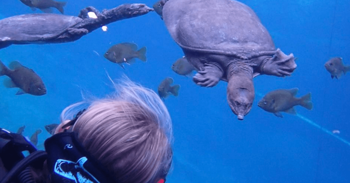 Blue Grotto Two-Tank Dive: Williston’s Cool-Water Underwater Rock Gardens photo 3