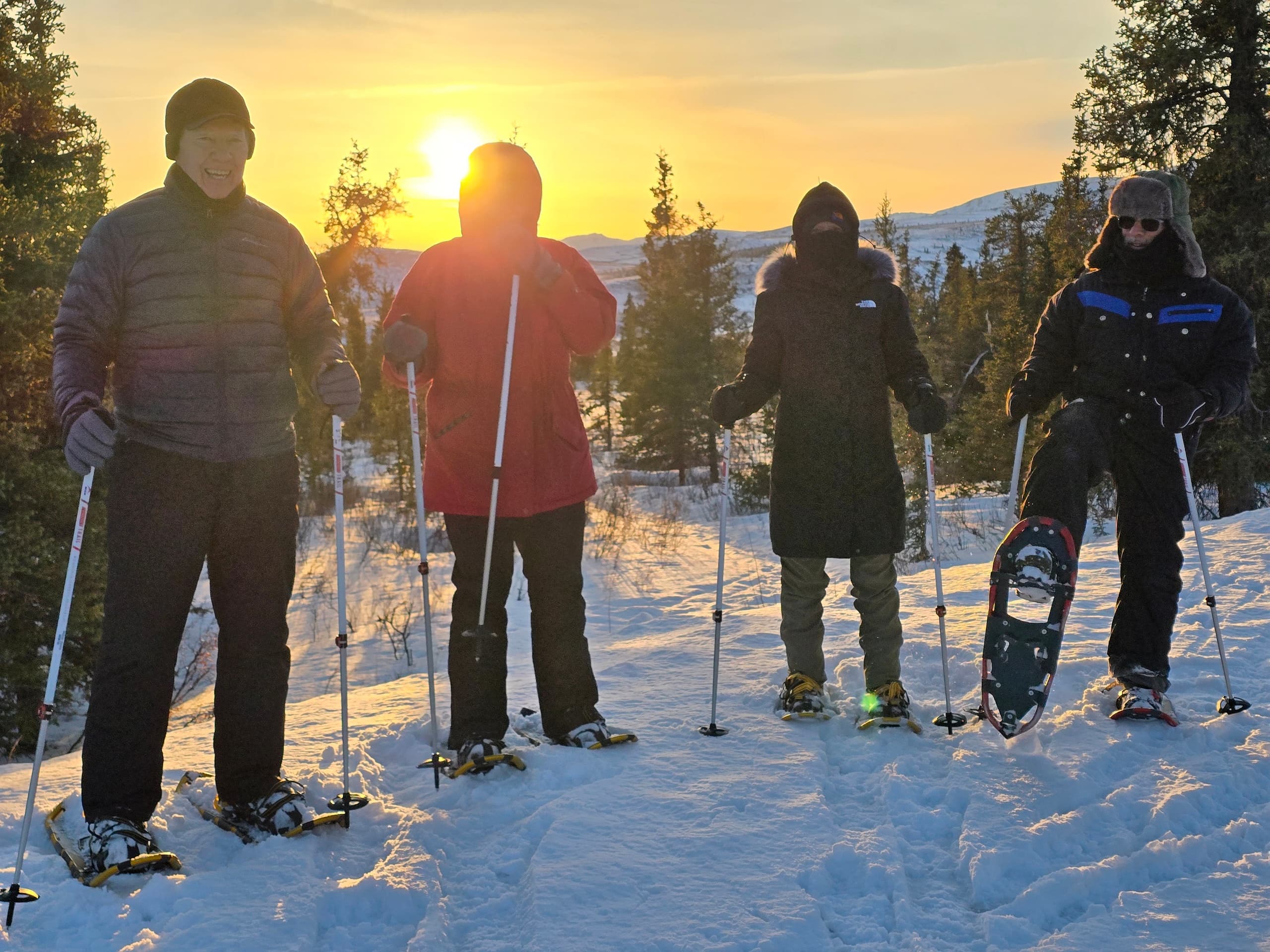 Snowshoe Forest Walks at Sluice Box Sled Dogs — Ester, AK Winter Wildlife Tours photo 3