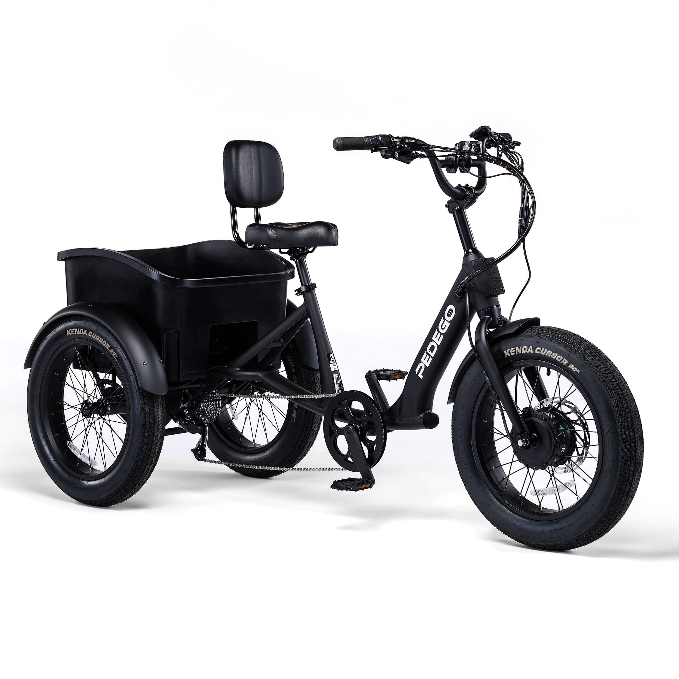 Pedego Jackson Hole team
