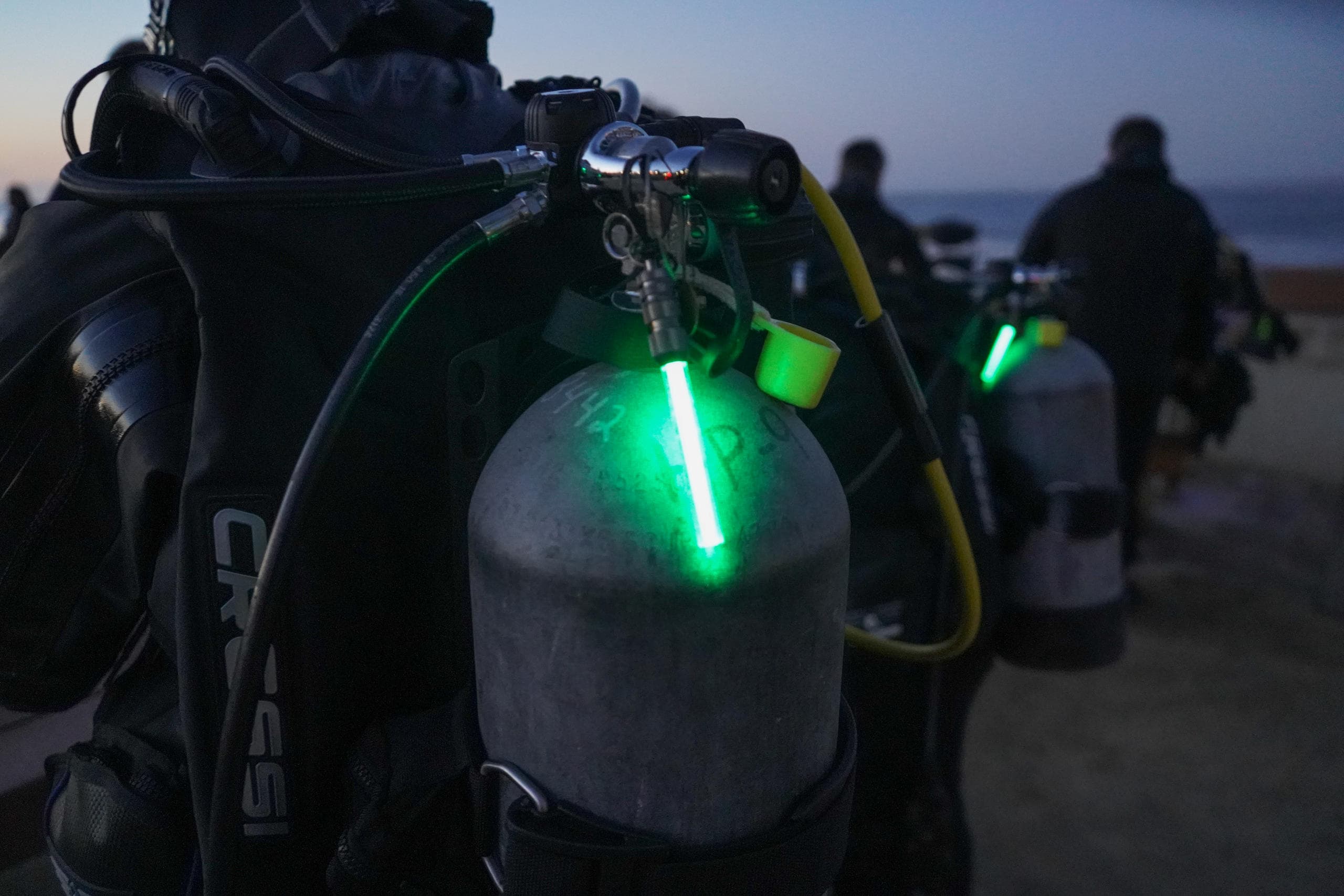 Night Dive Adventure in Monterey Bay with Bamboo Reef