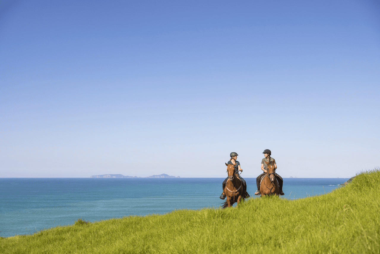 Advanced Horseback Ride with Sandy Bay Horse Trekking