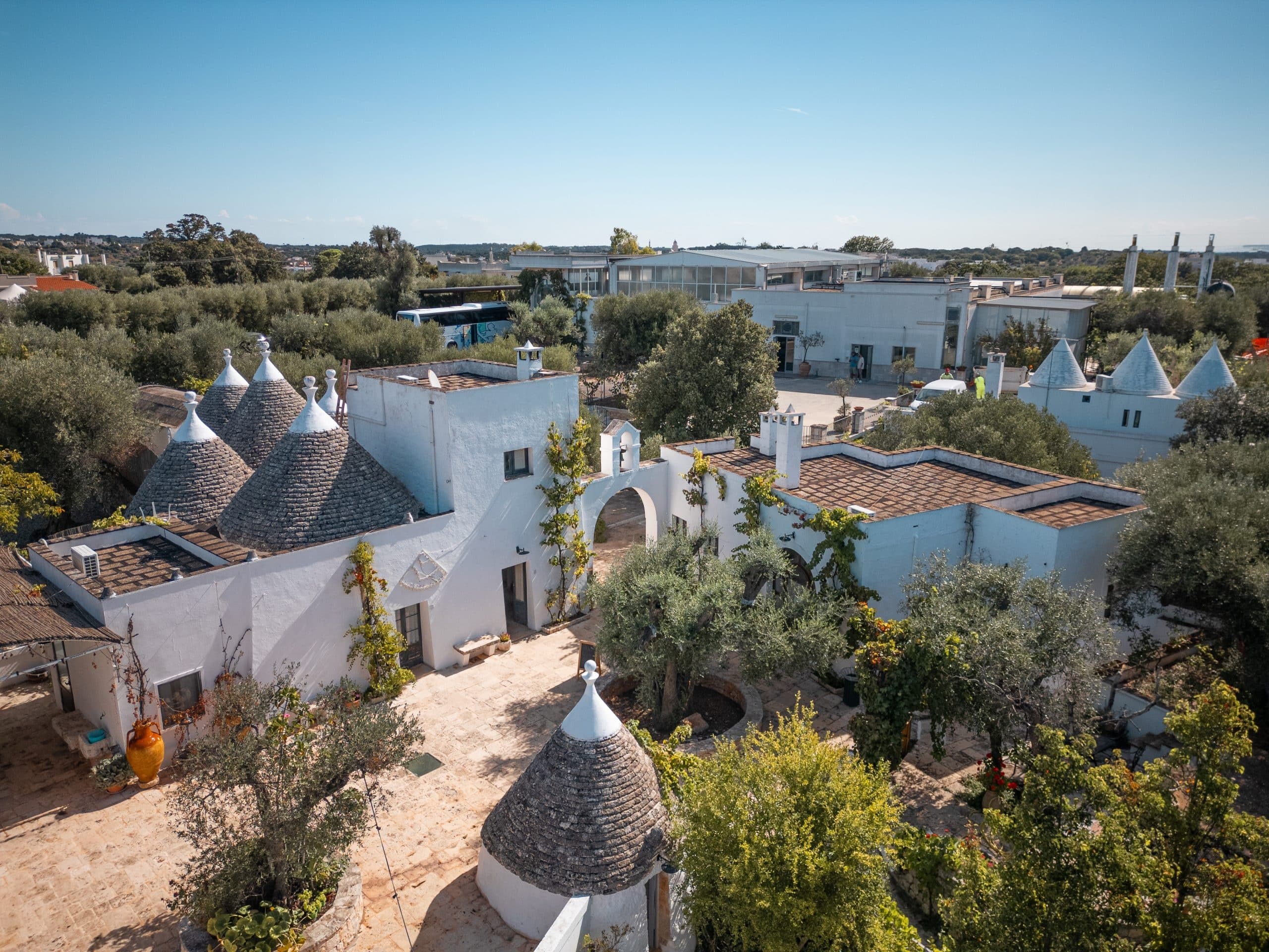 Tasting Puglia's Liquid Gold: Olive Mill Tour in Carovigno photo 1