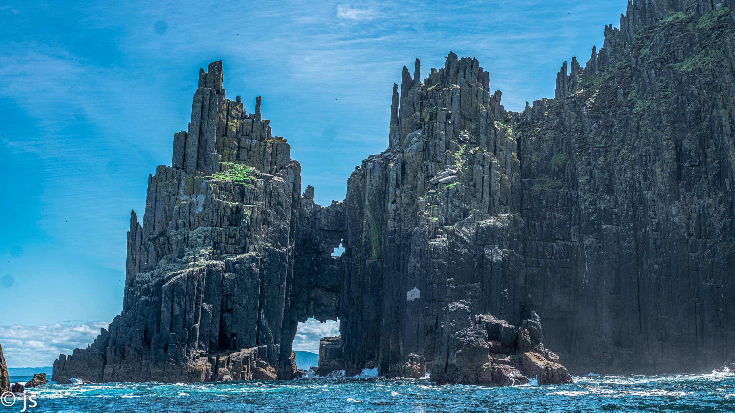 Wildlife Cruises with Blasket Island Sea Life Tours