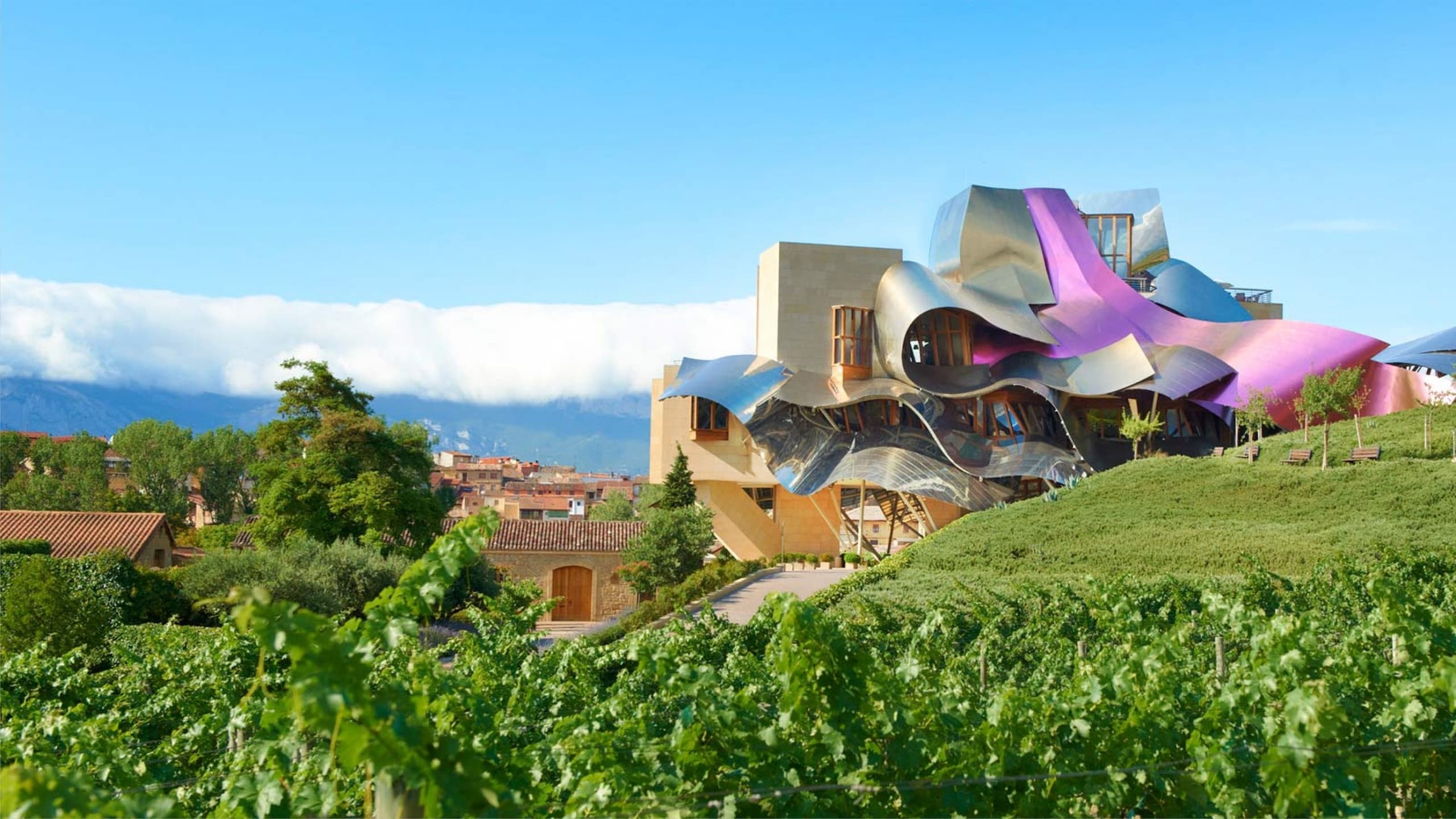 Land Adventures in Rioja Alavesa with Laguardia Treasures