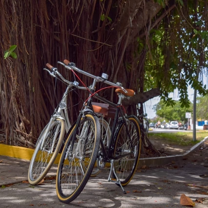 3-Day Bicycle Rental with Beach Bum Cozumel