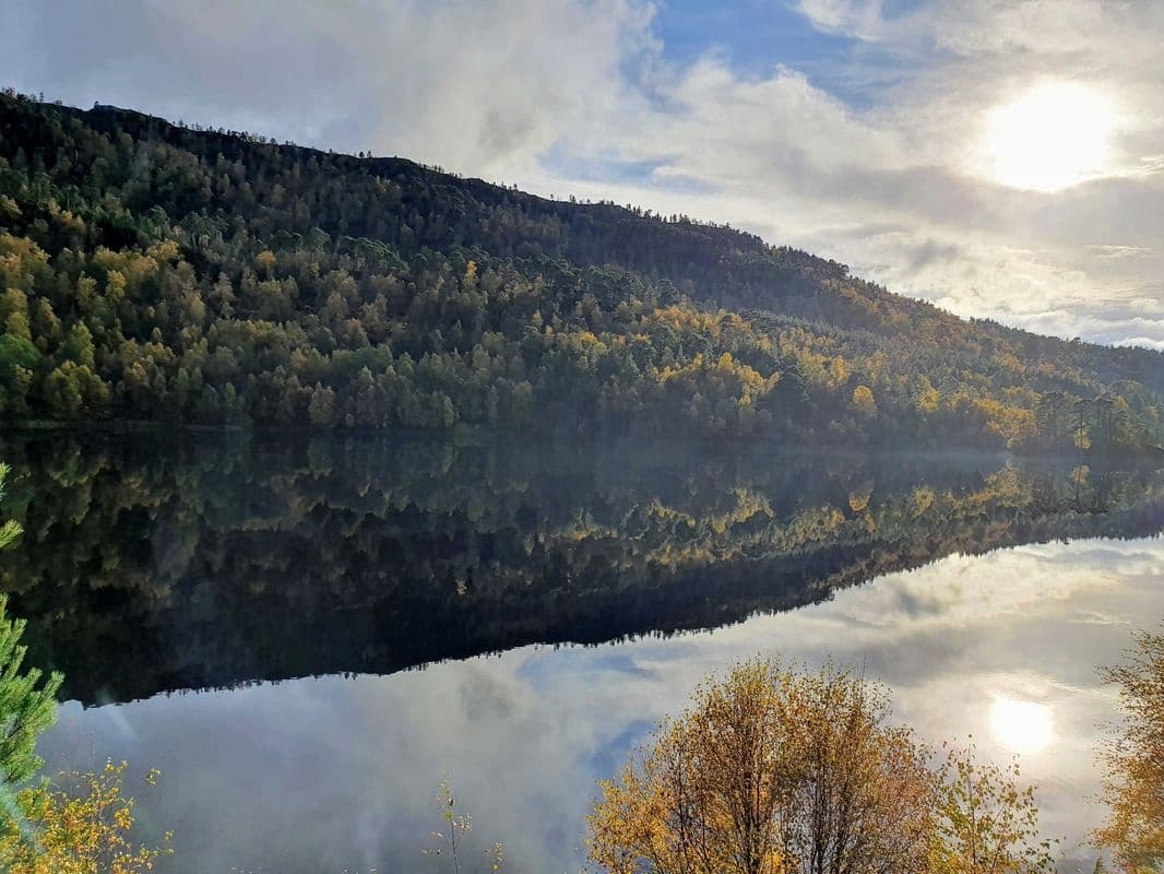 Calm mirrored lake and forested hillside at sunrise in Scotland