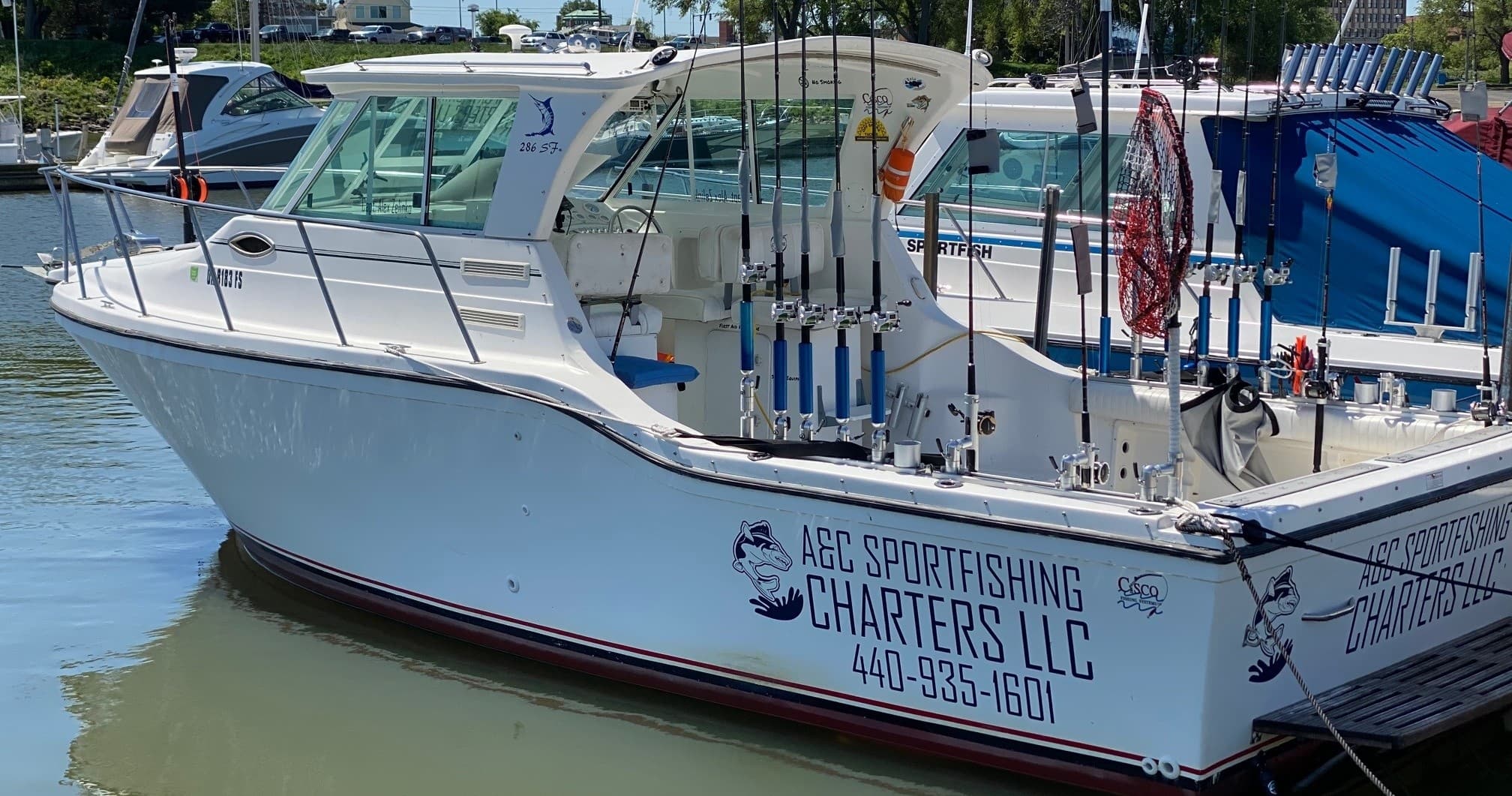 Lake Erie Full-Day Walleye & Steelhead Charters from Port Lorain