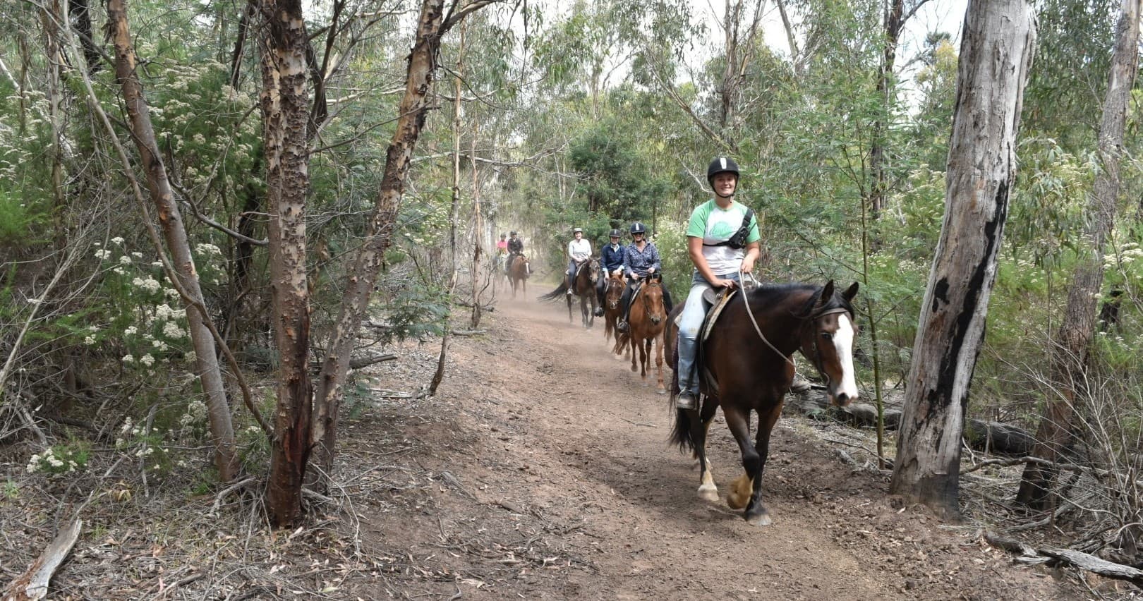Spring Creek Horse Rides fleet