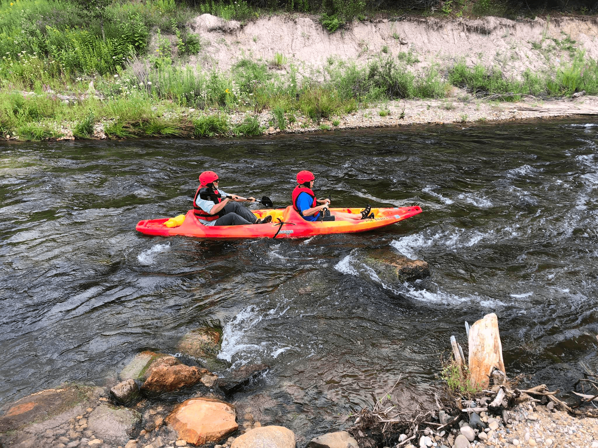 Boardman River Paddling Adventure in Traverse City, MI