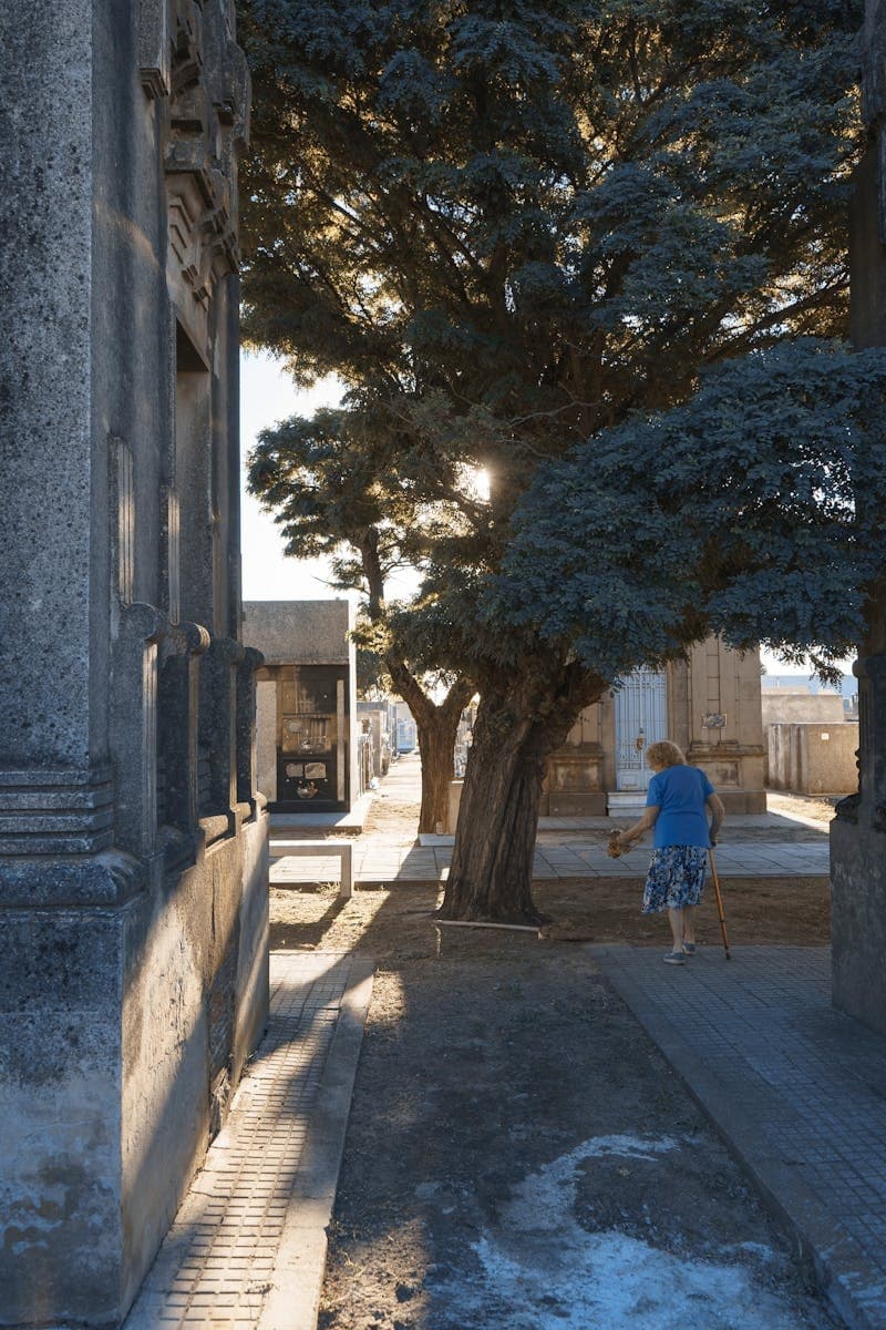 Cultural Heritage & History Tour at Kerepesi Cemetery in Budapest