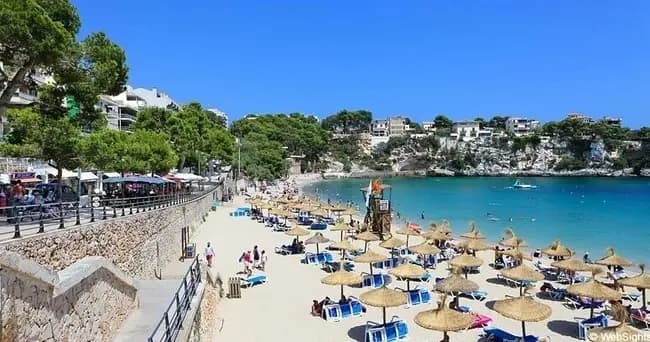 Cala Millor to Porto Cristo Shuttle: Beach, Harbor & Cuevas del Drach Day Trip