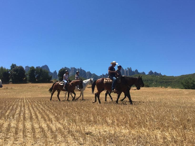 Horseback Treks in Montserrat with Unique Tours