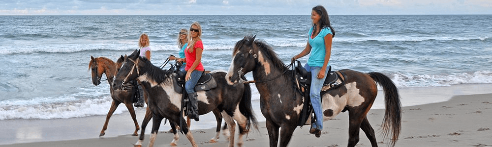 Shoreline Gallops: Horseback Riding Through Frisco's Maritime Forest and Cape Hatteras Beaches