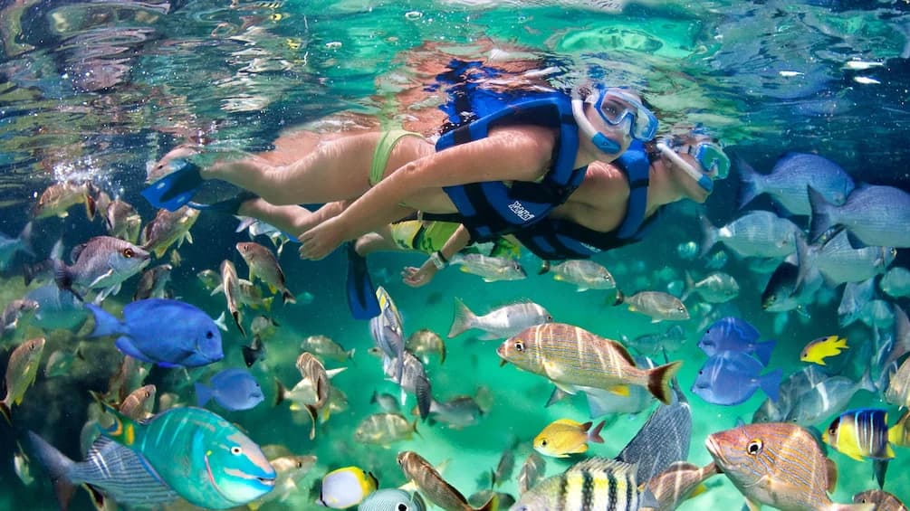 Snorkeling Adventures with Scott's Transport & Tours JA