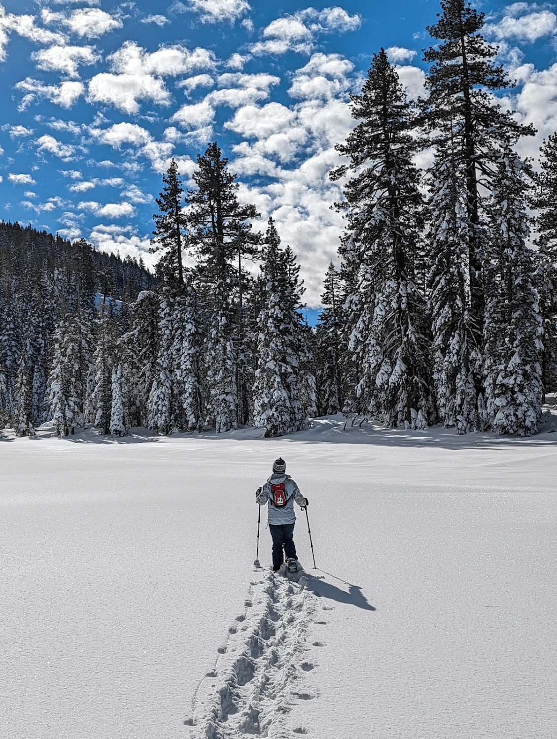 Palisades Loops Snowshoe Rental in Tahoe City