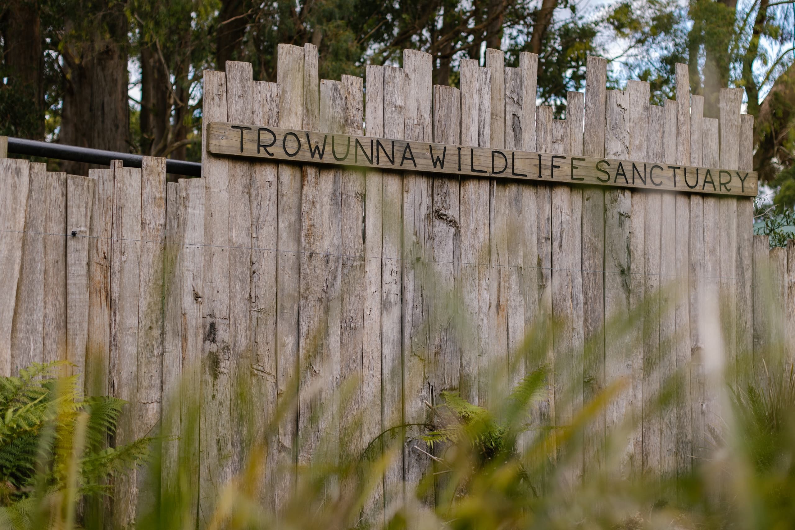 Entrance sign for Trowunna Wildlife Sanctuary in bush