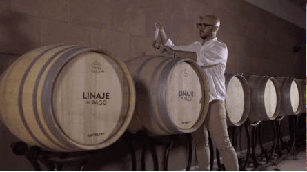 Wine & Gastronomy in El Sauzal with Bodega Linaje del Pago