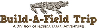 Educational Nature Adventures at Loggerhead Marinelife Center