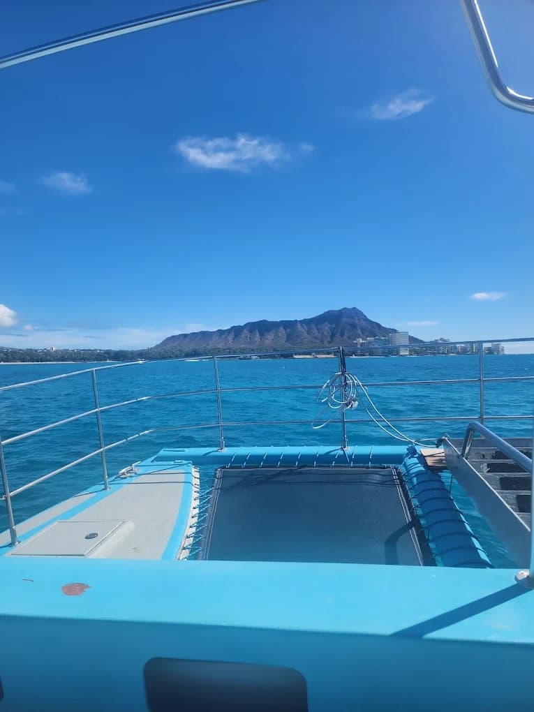 Snorkel with Hawaiian Green Sea Turtles at Waikiki's Turtle Canyon photo 3