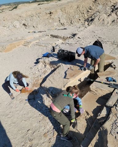 Digging the Green River: Daytime Paleontology Experience in Kemmerer Wyoming photo 1