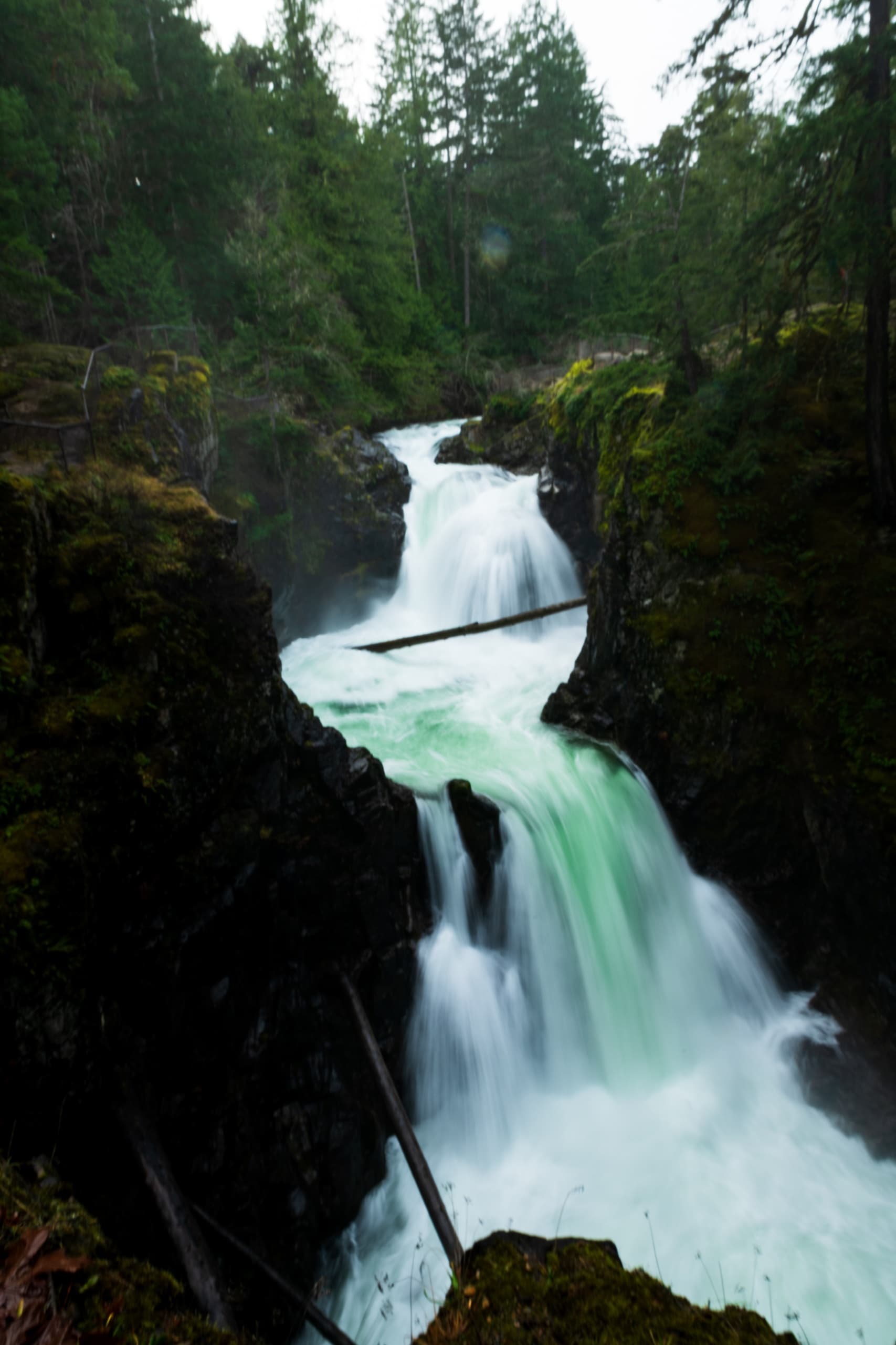 Waterfall & Wilderness Adventure with Surfside Adventure Tours