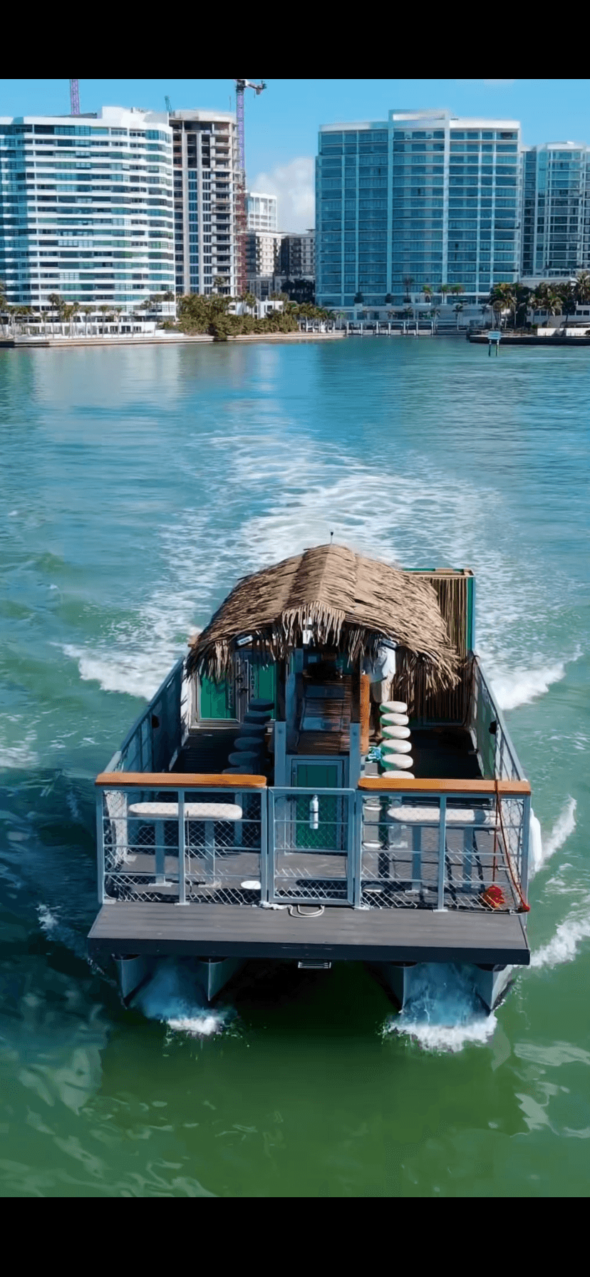 Happy Hour Dolphin Cruise: Sarasota Tiki Boat Tours & Dolphin Watching photo 2