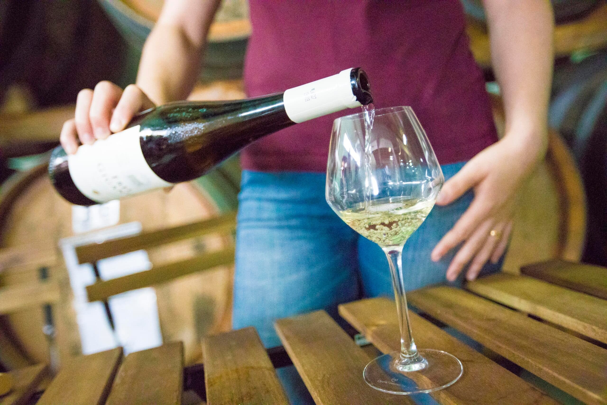 Pico Wine Tour Highlights by Tripix Azores