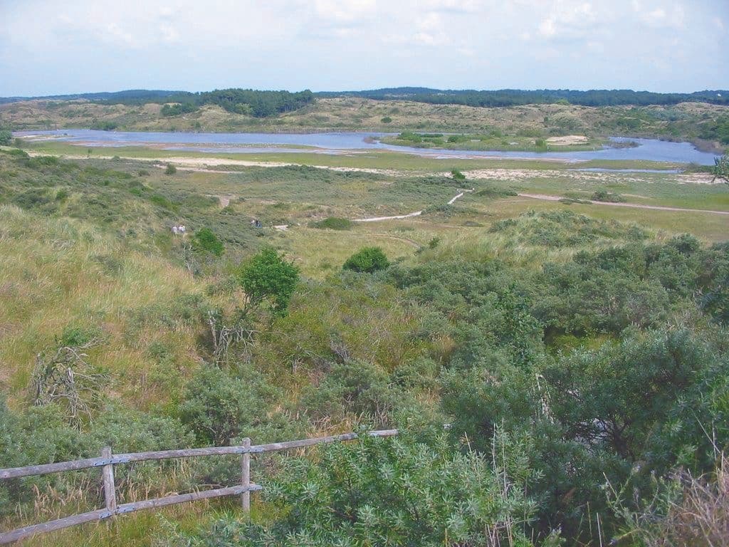 Coastal dunes and marshland scenic view near North Sea coast