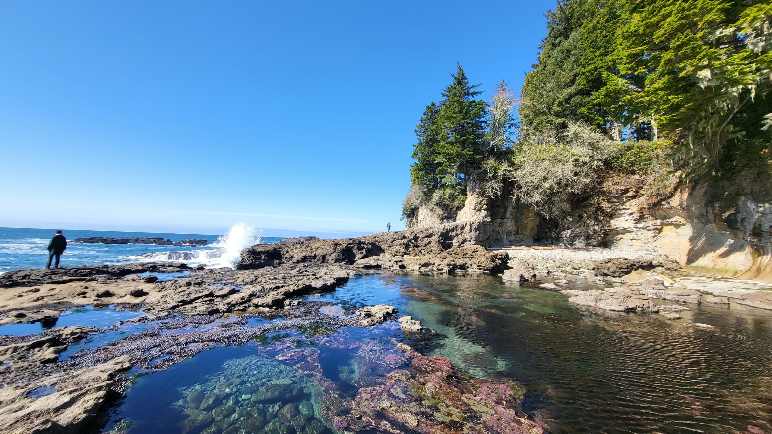 Vancouver Island Adventure with Tales on Trails' Big West Coast Tour