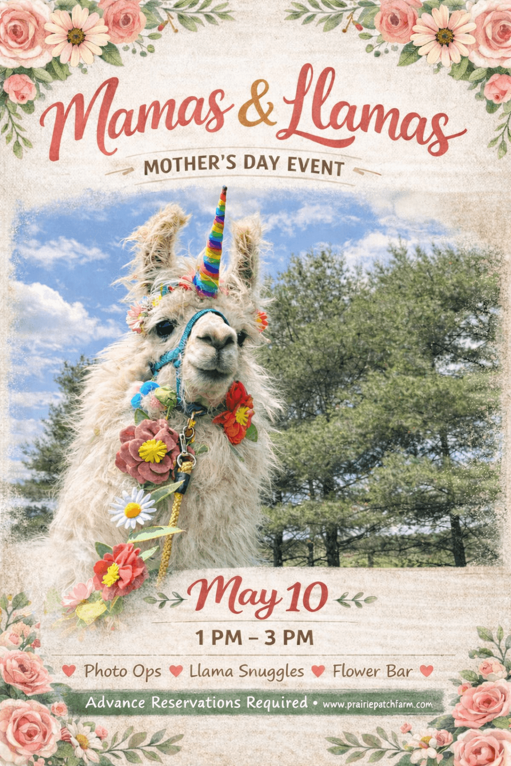 Mamas & Llamas: Mother's Day Llama Visit in Cedar Rapids, IA