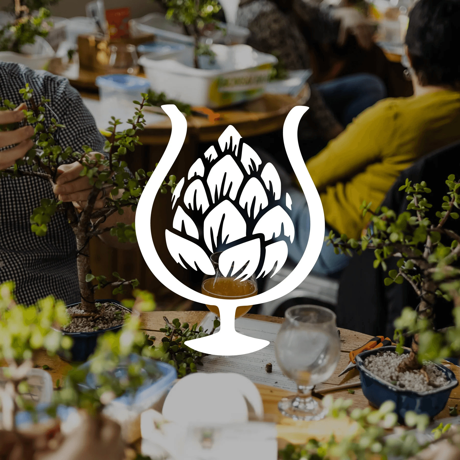 Bonsai Bar at Faction Brewing — Make a Tiny Tree in Alameda Taproom