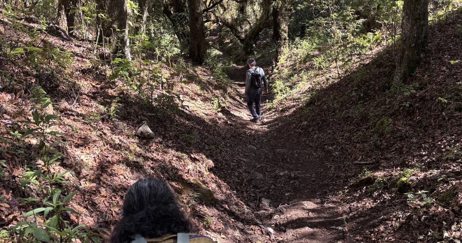 Explore Sierra Juarez: A Scenic Hike With Hot Chocolate in Oaxaca