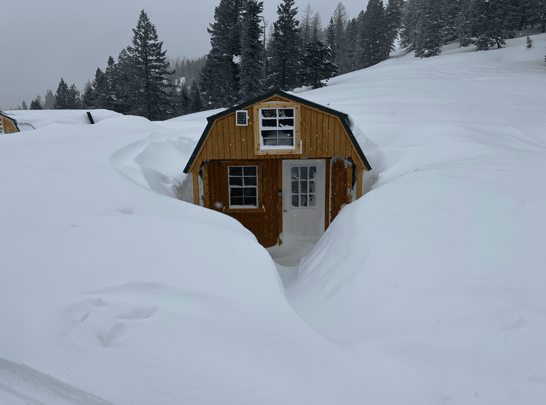 Ski the Untamed Below Tree Line Glades at Cornucopia Camp in Oregon