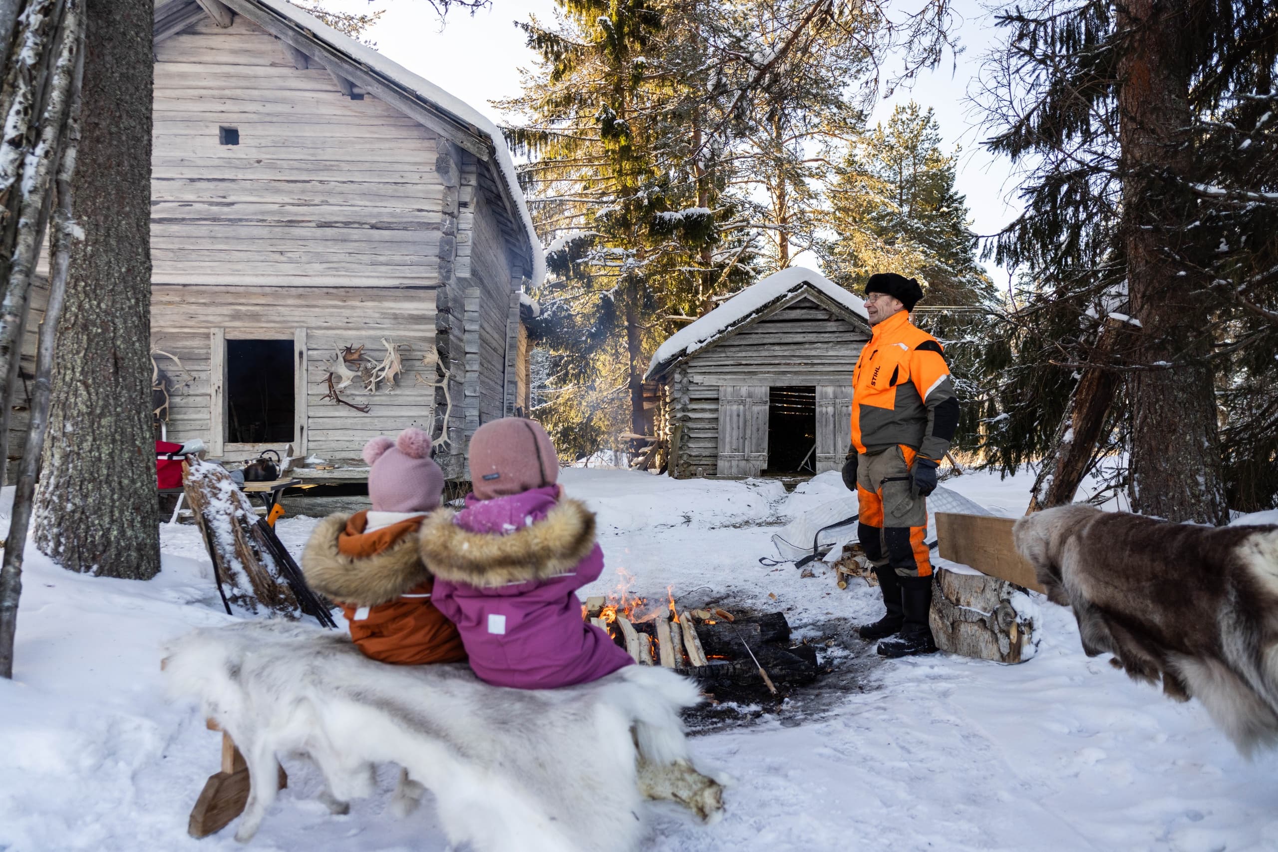 Meet the Reindeer: A Two-Hour Farm Visit Near Syöte photo 3