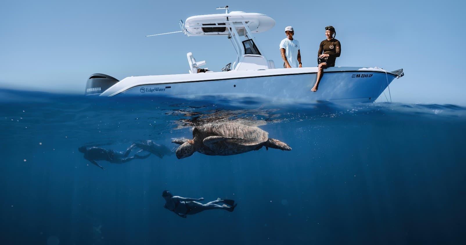 SeaTiger Shipwreck Free-Diving Tour in Honolulu, Hawaii