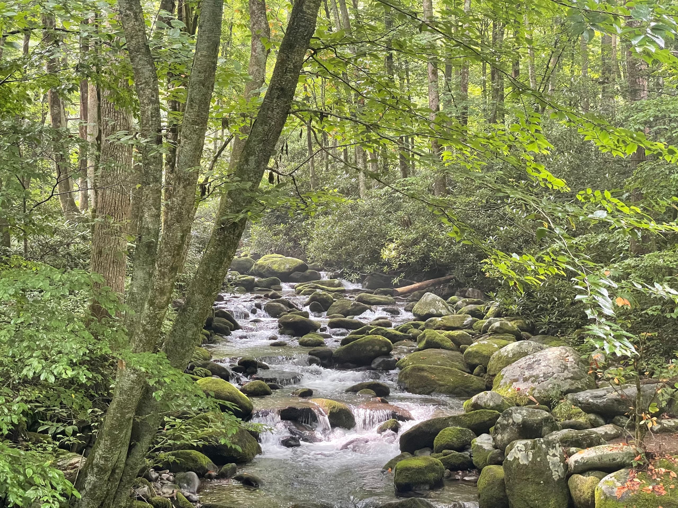 Smoky Mountains Jeep Tours team