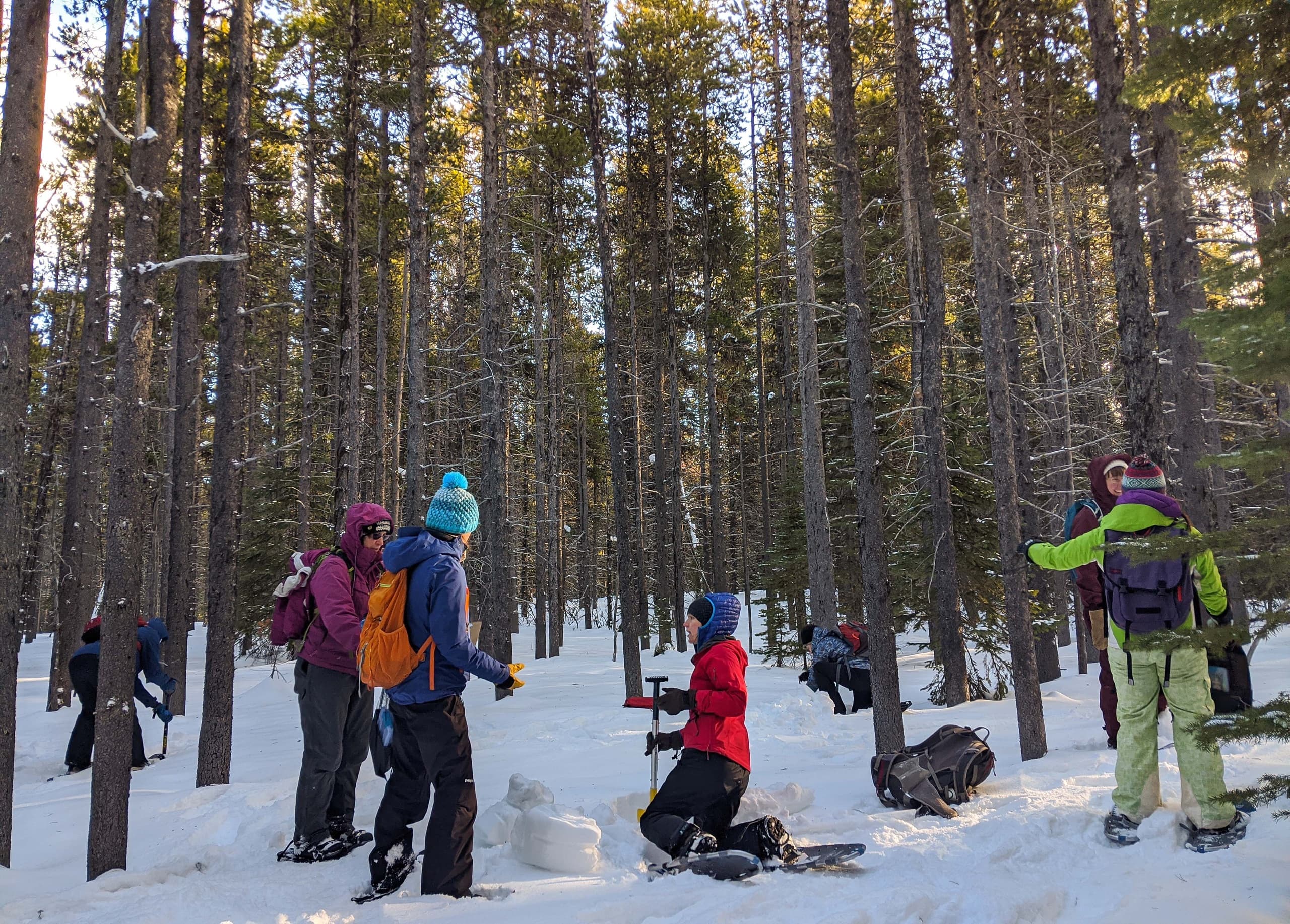 Columbia Falls Winter Snowshoe: Family Nature Center Hike photo 2