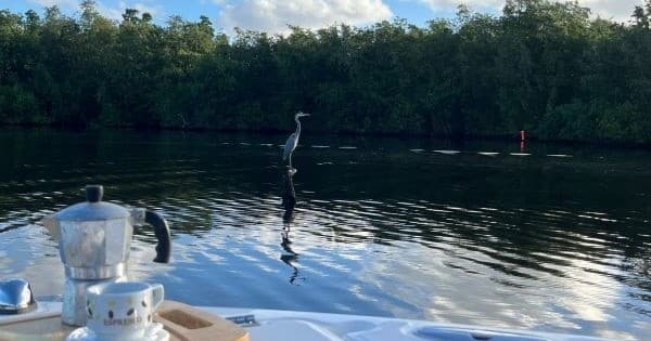 Early Bird Boat Tour in Carolina, Puerto Rico