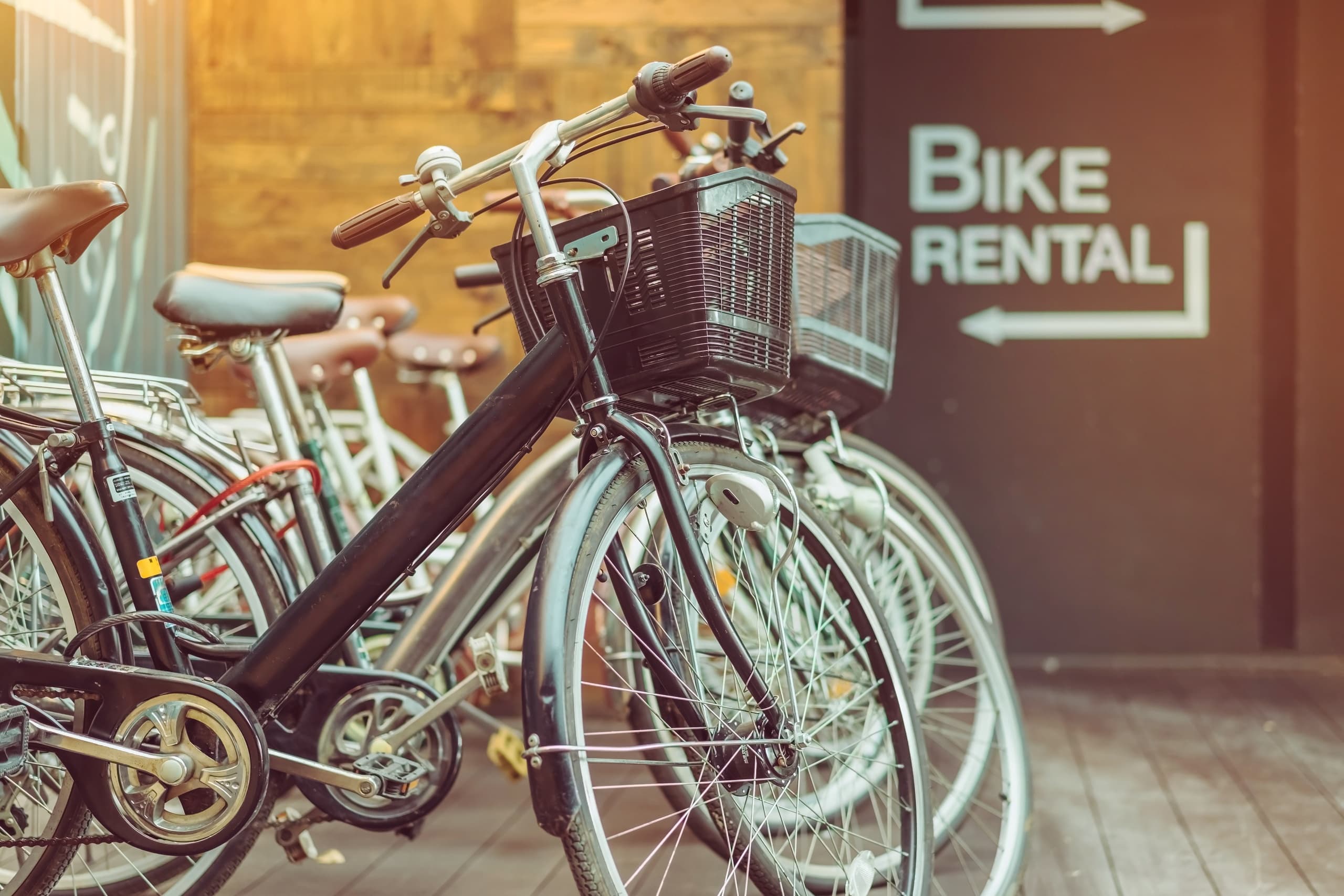 Explore Polignano a Mare on Two Wheels: Self-Guided Bike and E-Bike Rentals in Puglia, Italy