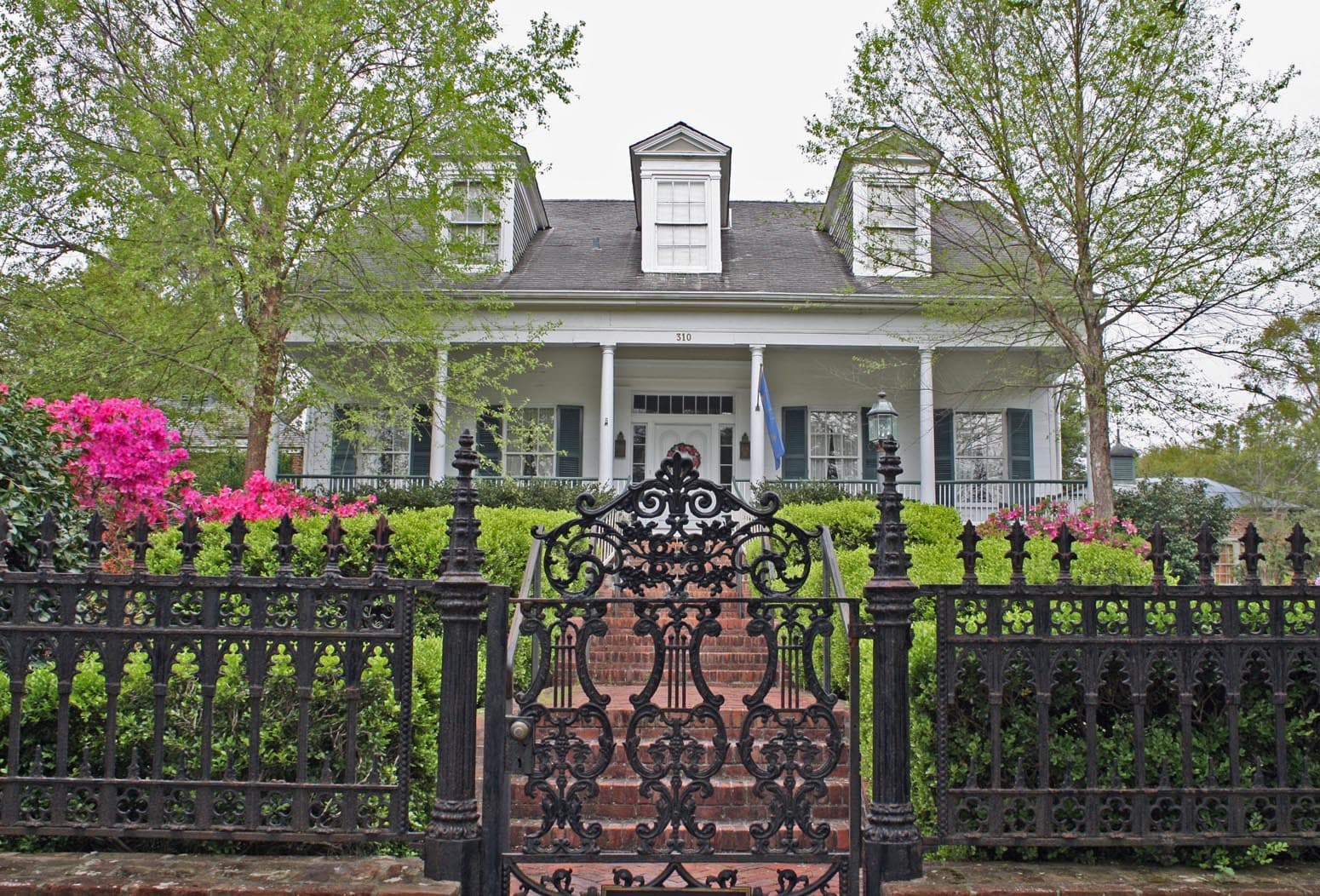 Everything Old Is New Again: Natchez Garden Tour & Camellia Celebration photo 3