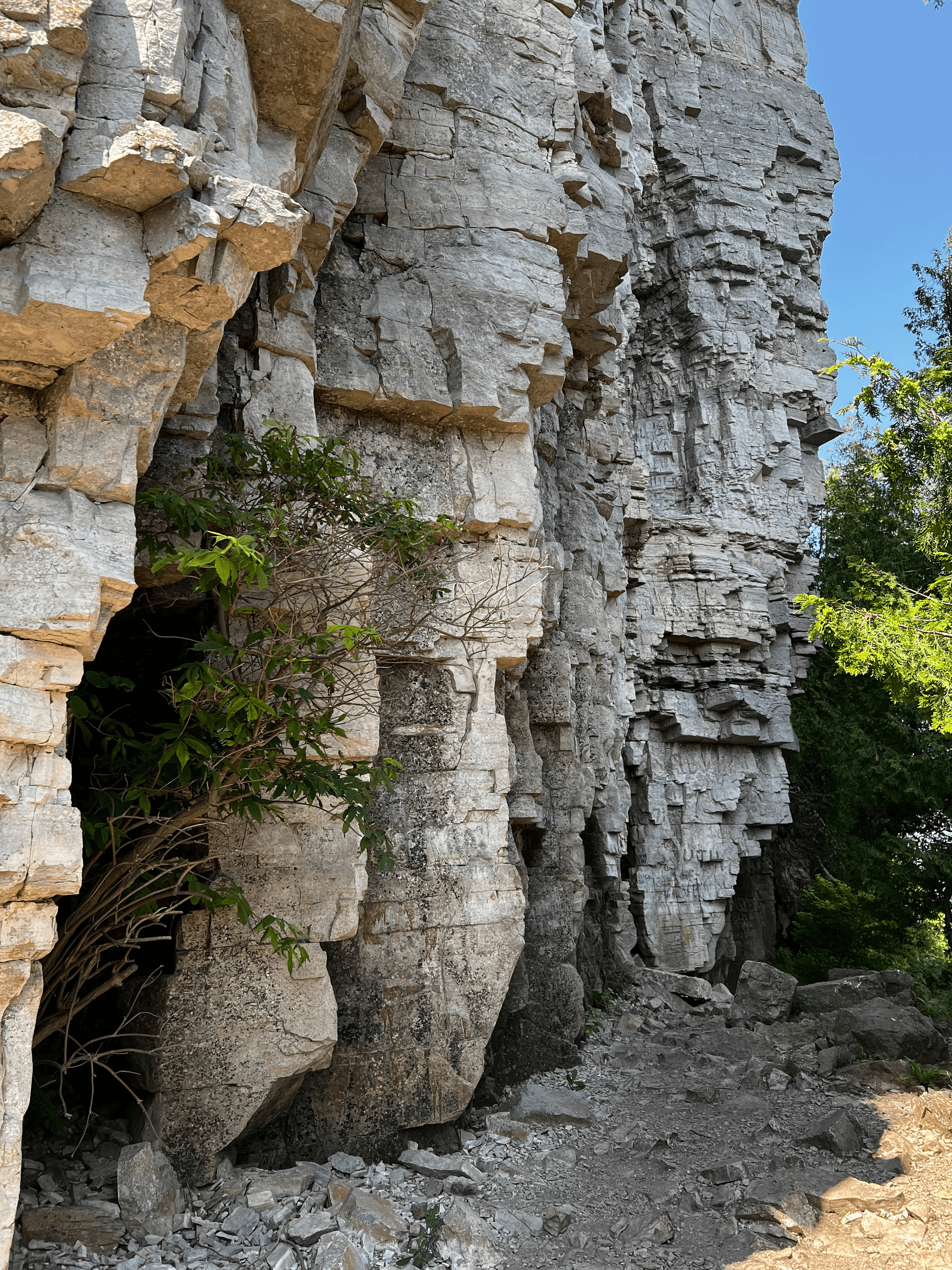 Paddling the Niagara Escarpment: Peninsula State Park Kayak Tour from Nicolet Beach photo 4