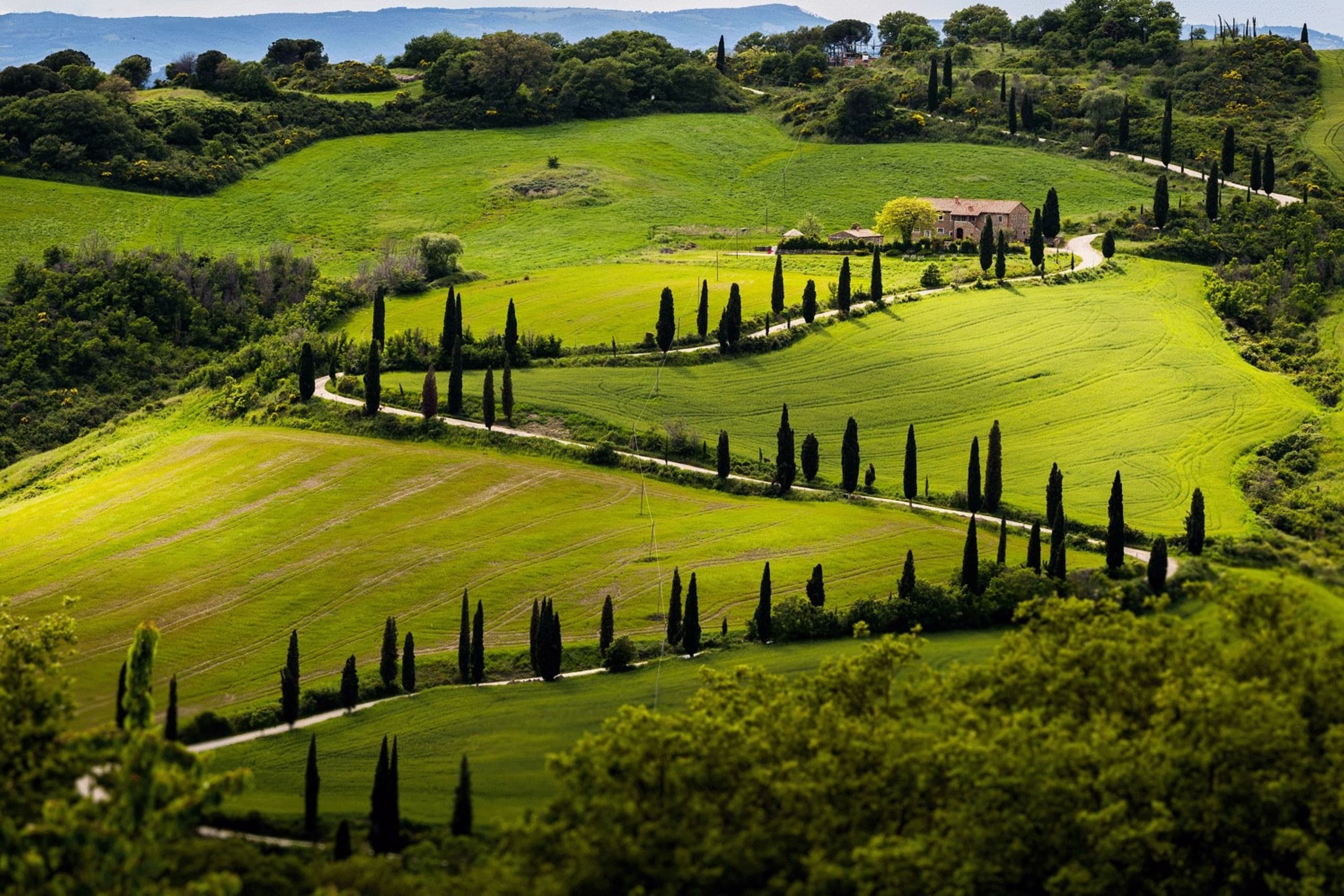 Wine & Food Adventure in Chianti with Under The Tuscan Sun Tours
