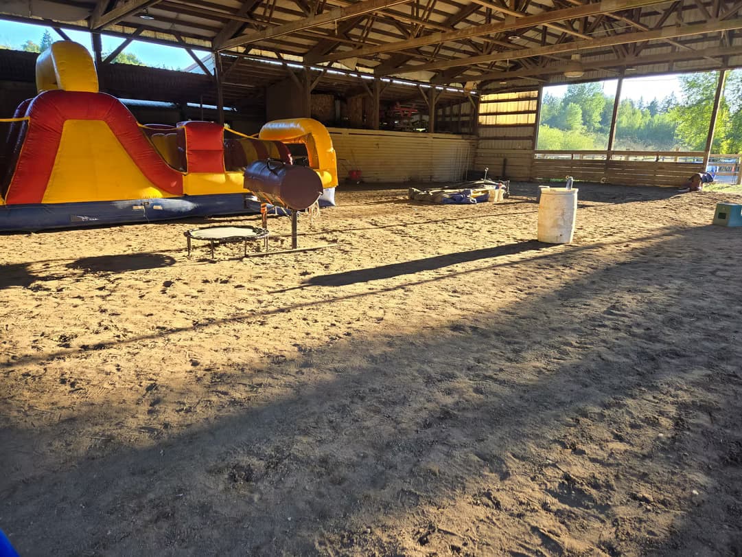 Celebrate Unforgettable Birthday Parties at Cougar Mountain Stables in Renton, WA