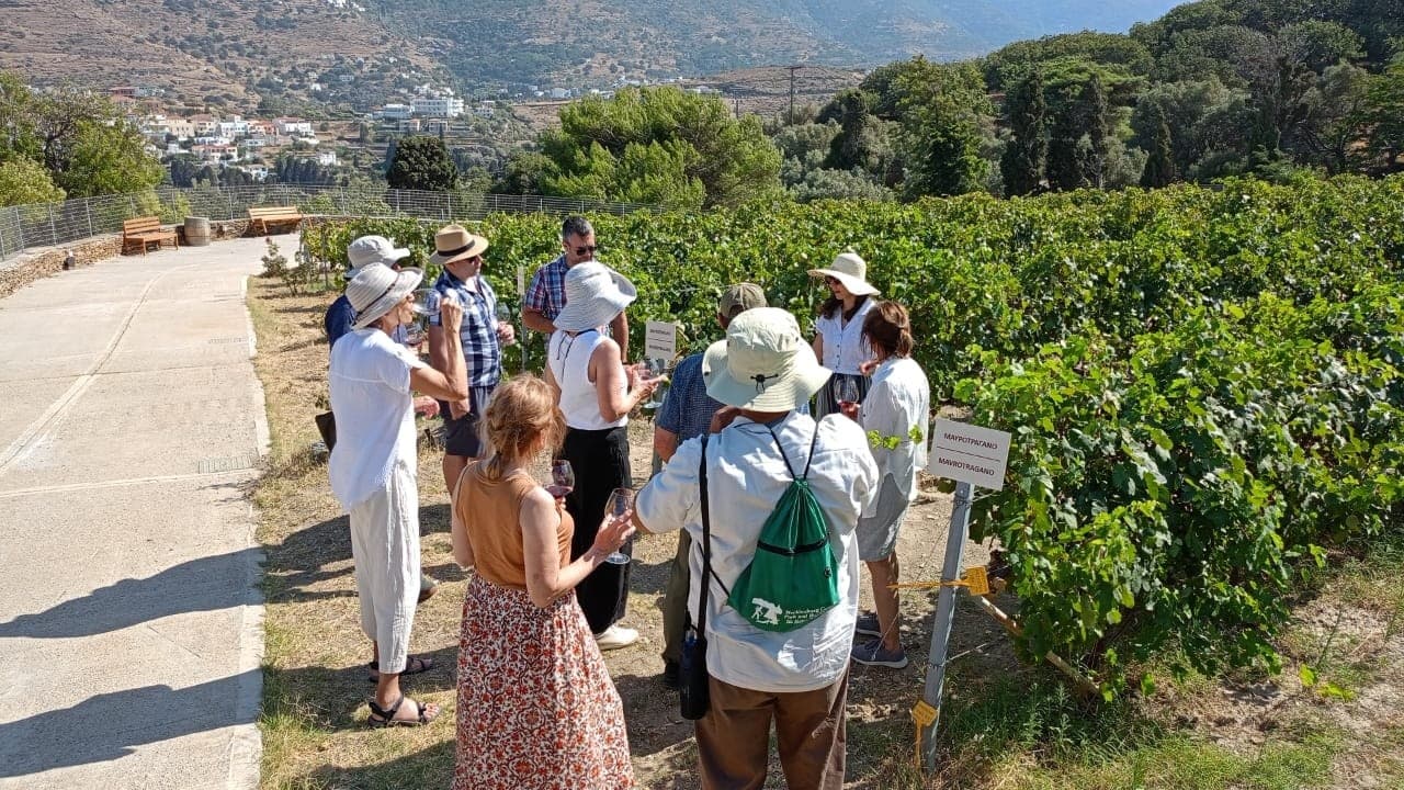 Stenies to Kourtesis: Andros Half-Day Wine & Maritime Village Tour photo 2