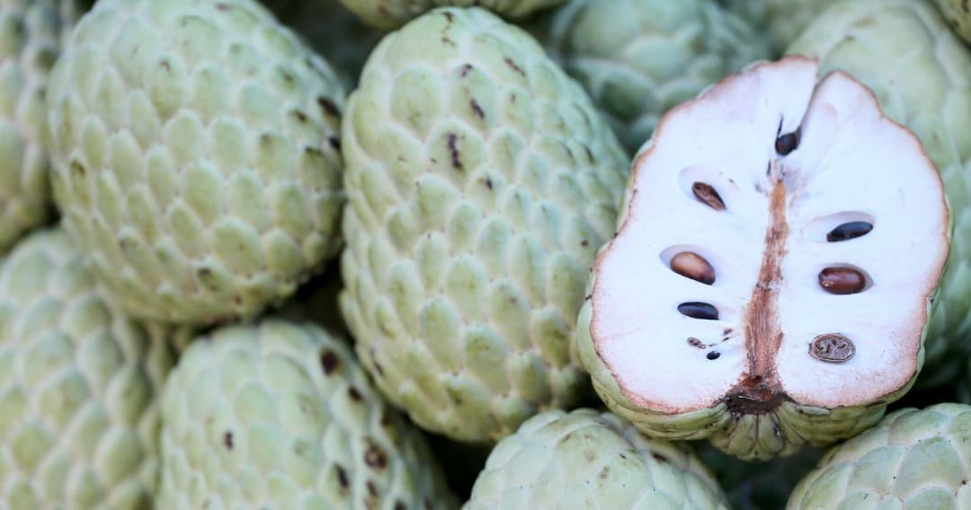 Land Adventures & Farm Tours at Annona Farm in Madeira