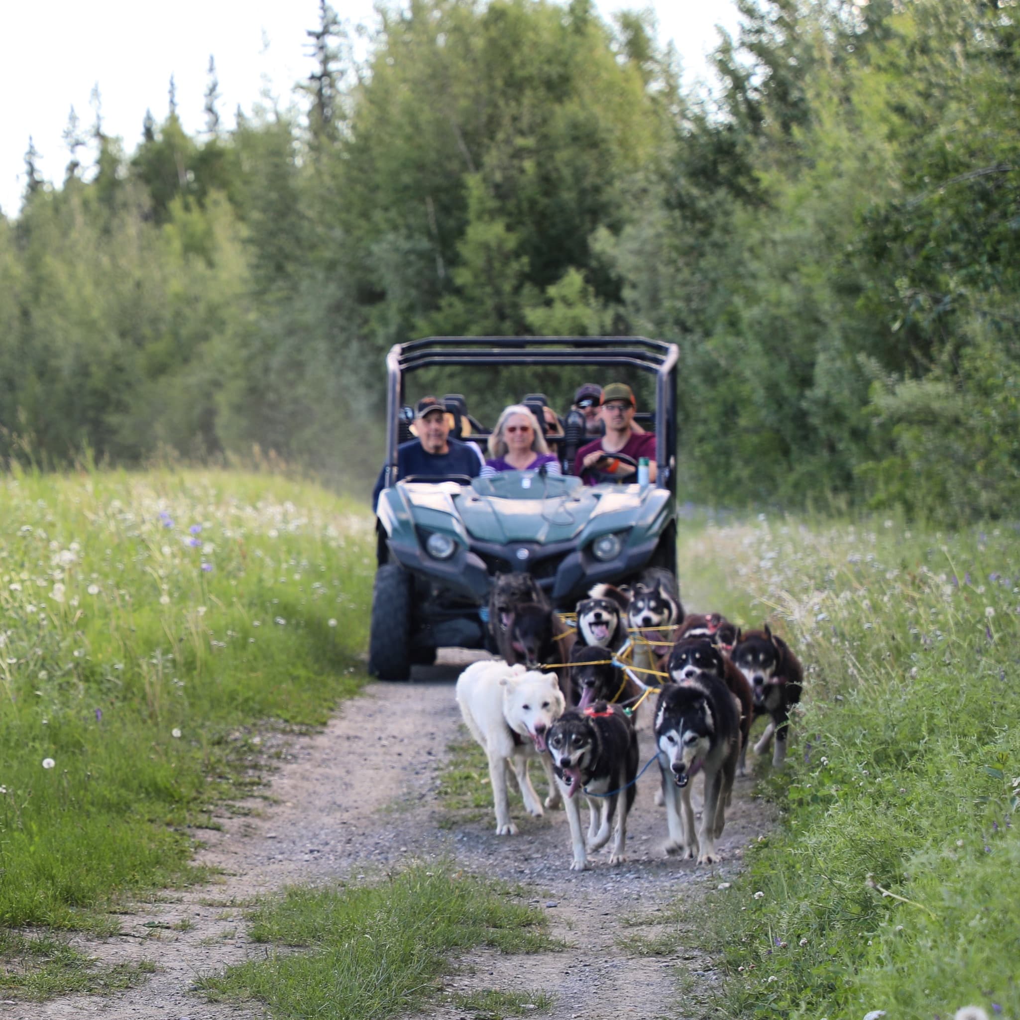 Trail Breaker Kennel fleet