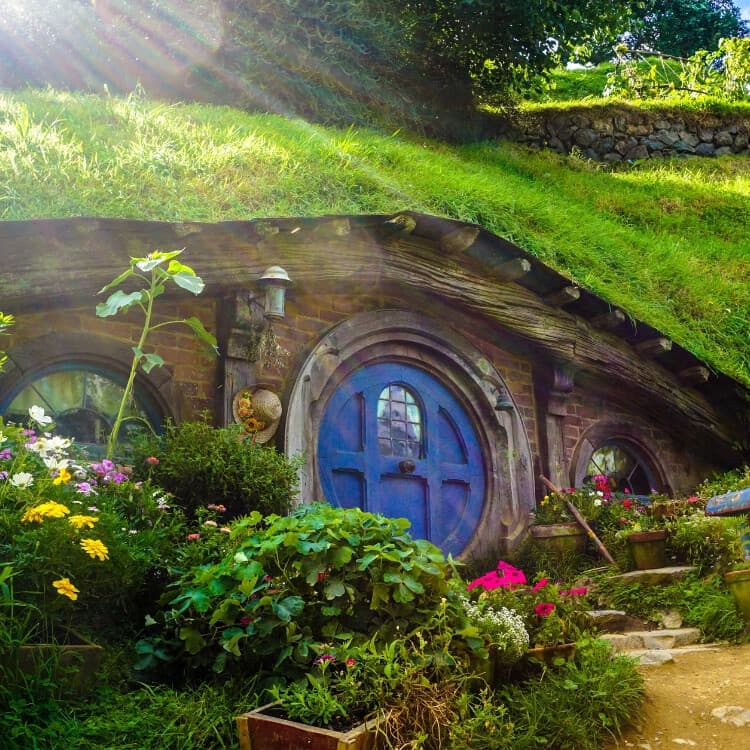 Hobbiton Movie Set Tour from Auckland — Full-Day Hobbit Village Experience photo 1